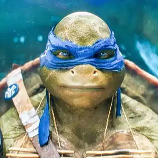 Leonardo
