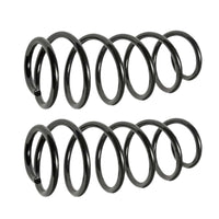 Nissan Primastar Renault Trafic Vauxhall Vivaro 2001-2019 Rear Coil Springs & Shock Absorbers