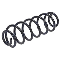 VW Tiguan 2008-2017 Rear Coil Springs Pair