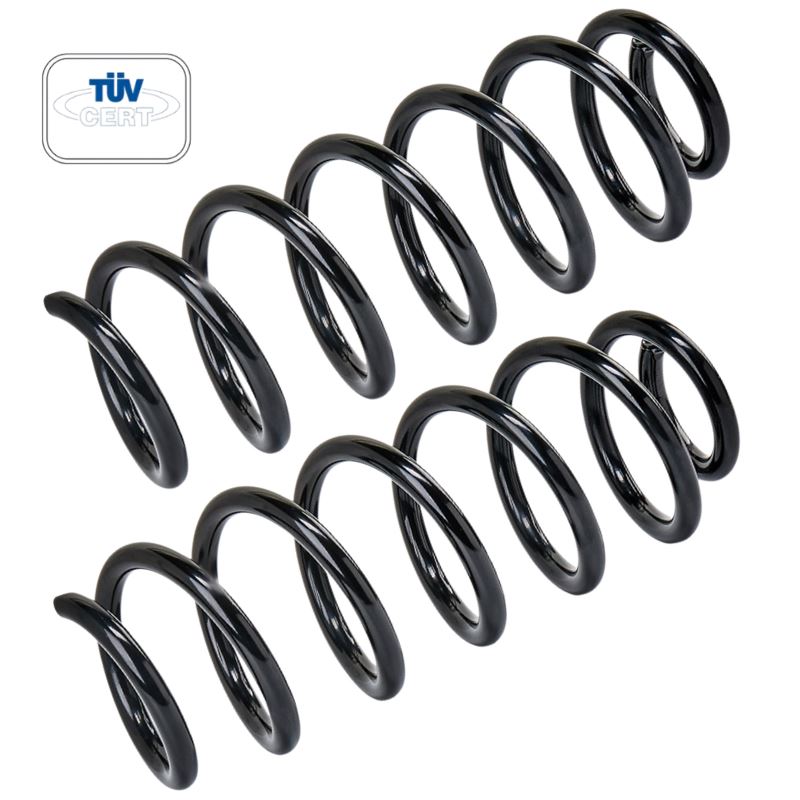 Nissan Qashqai 2013-2021 Rear Coil Springs Pair
