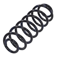 VW Passat 2005-2015 Rear Coil Springs Pair