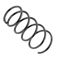 Vauxhall Agila 2008-2014 Front Coil Springs Pair